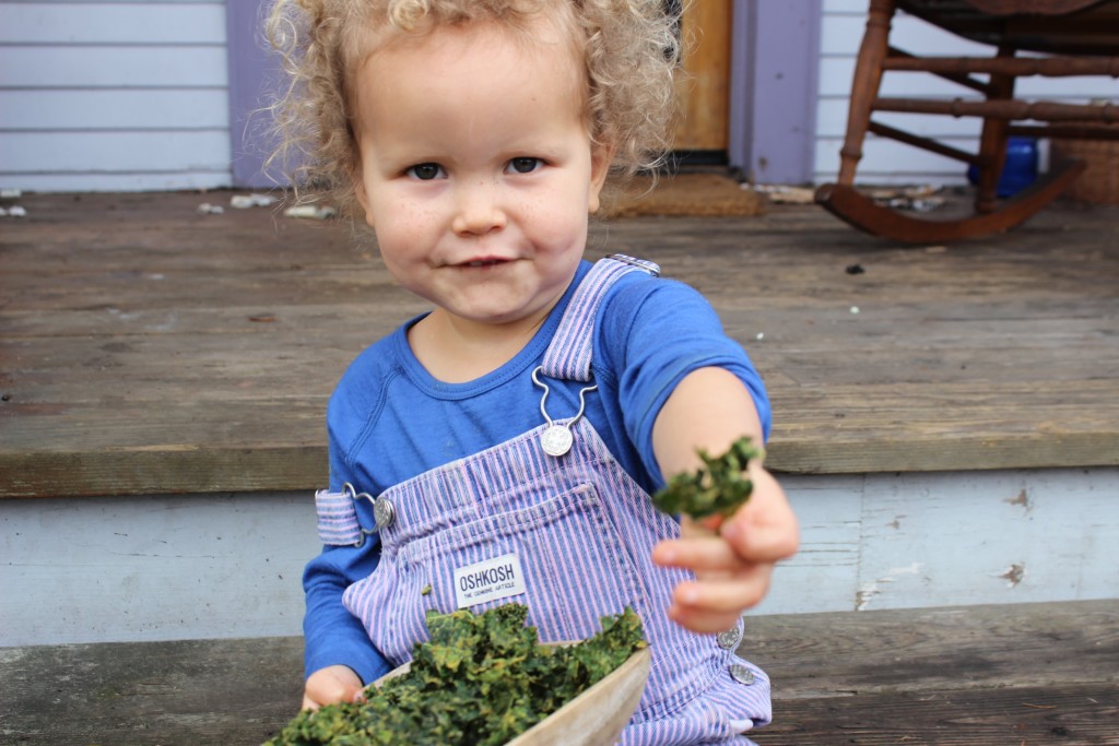 Sweet Curry Kale Chips - High Energy Parenting